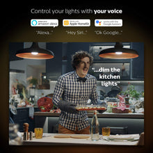 Load image into Gallery viewer, Philips Hue Single Premium A19 Smart Bulb